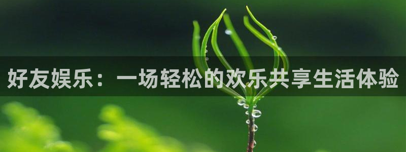 长征娱乐登录：好友娱乐：一场轻松的欢乐共享生活体验