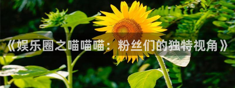 upload/20250701114914.jpg