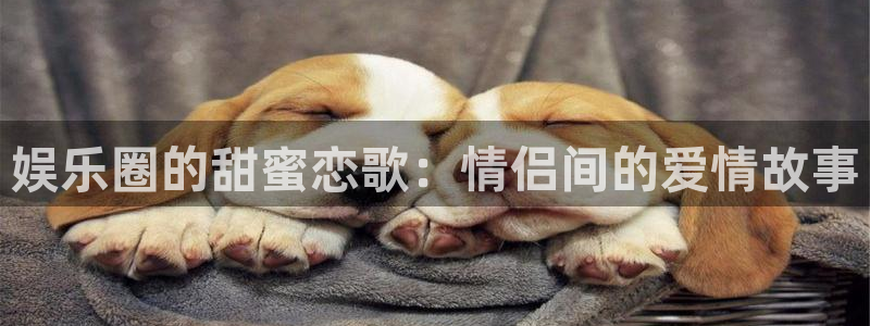 长征娱乐平台：娱乐圈的甜蜜恋歌：情侣间的爱情故事