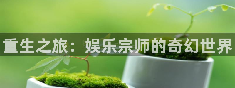 长征娱乐平台：重生之旅：娱乐宗师的奇幻世界
