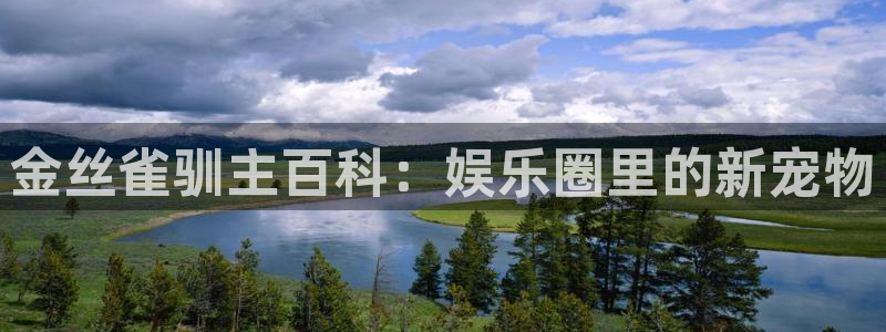 长征娱乐平台：金丝雀驯主百科：娱乐圈里的新宠物
